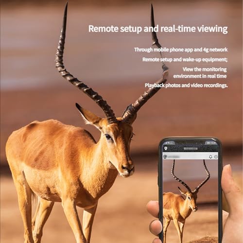 Cámara de sendero al aire libre 4G impermeable IP66 con carga solar 3