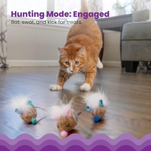 Mousin-Around-Hide-N-Treat-Cat-Toy-3-Pack-Treat-Dispenser-Toys-Multicolored Mousin Around Hide N Treat Cat Toy 3 Pack Treat Dispenser Toys Multicolored
