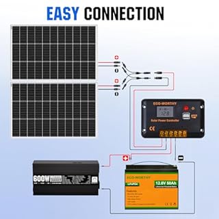 ECO-WORTHY 200 Watt 12V Complete Solar Panel Starter Kit for RV Off Grid with Battery and Inverter: 200W Solar Panels+30A Charge Controller+50Ah Lithium Battery+600W Solar Power Inverter