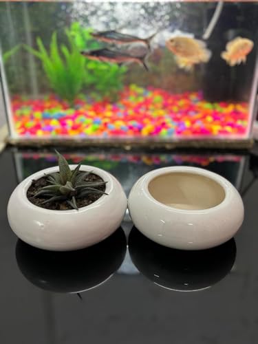 Image of White Ceramic Plant Pots for Indoor Plants | Table Top Planters for Succulents Herbs & Bonsai | Decorative Flower Pot for Home Office Balcony Decor (Set of 2)