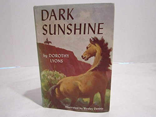 Dark Sunshine B00GI2G2U6 Book Cover