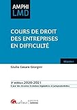  Cours de droit des entreprises en difficulté (2020-2021)