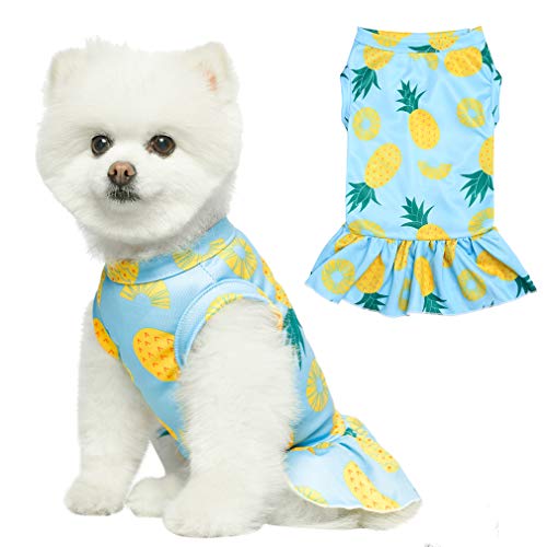 EXPAWLORER Dog Dress for Small Dogs - Soft Breathable Dog Spring Clothes, Cooling Dog Shirt Skirt for Summer, Sleeveless…