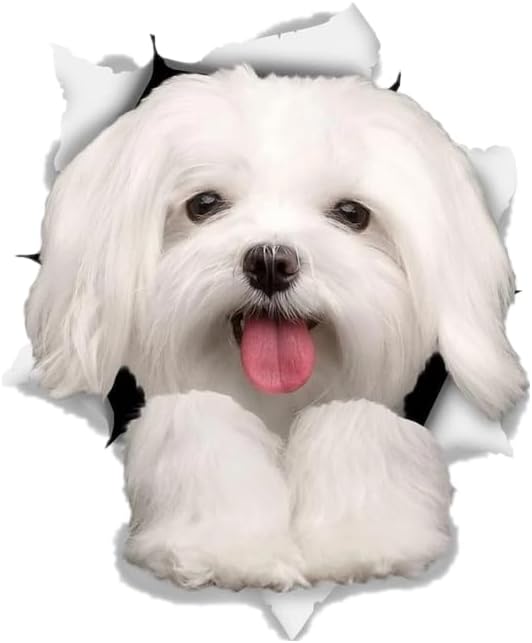 2pcs Cute White Bichon Frise Dog Vinyl Car Decal 4.92"x5.91", Lovely Dog Sticker for Car, RV, Toolbox, Refrigerator, Ideal Pet Gift |#DK220 - Image 4