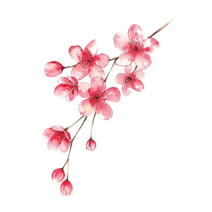 肉質画　【花】サインあり Amazon.co.jp: 桜タトゥー鎖骨防水花女性長期持続梅セクシーな桃