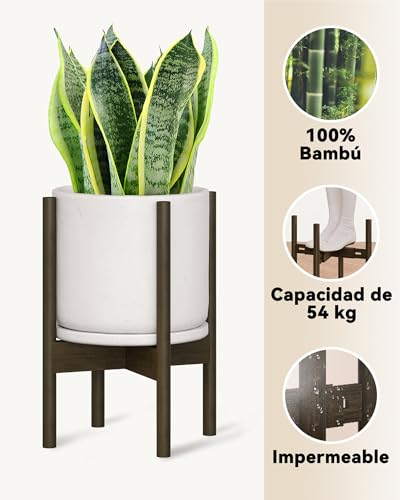 Plant stand Bamworld para decorar salones con plantas de interior naturales 8