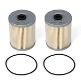 HSMOTHEV Two-pack V0631-51880 Fuel Filter Compatible With Kubota SVL75-2 SVL65-2 SVL95-2S SSV65PC