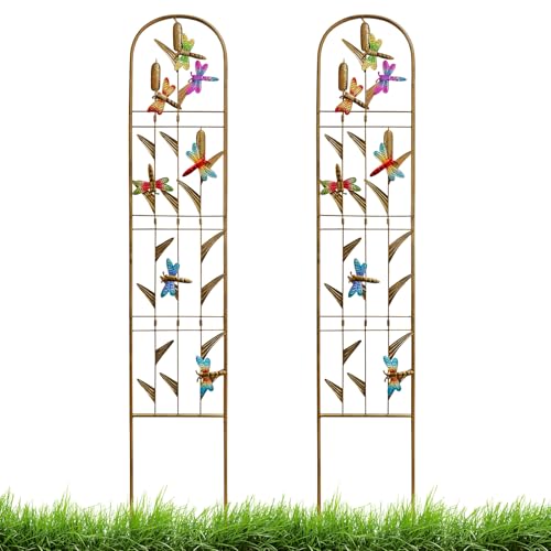 EZ4ENCE 2 Pack Metal Garden Trellis with Colorful Dragonfly Outdoor Decoration Arched Fence Trellis for Climbing Plants for Patio, Backyard, Wall Brackets by EZ4ENCE - Used condition - US$27.70