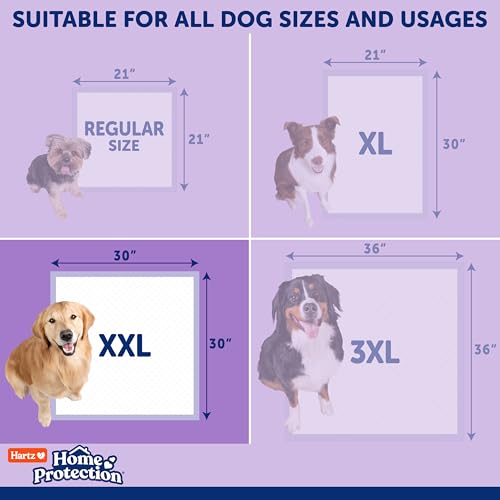 Image of Hartz Home Protection Super Absorbent Odor Eliminating Lavender Scented No Leak Dog Pads, XXL 40 Count (Pack of 2)