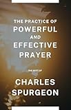  The Practice of Powerful and Effective Prayer (English Edition)