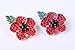 2 pcs Red Poppy Brooches Lapel Pin Badges Diamante Crystal Banquet Red Poppy Flower Remembrance Day Gift Black Plated Green Leave(Silver)