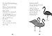 The Black Flamingo