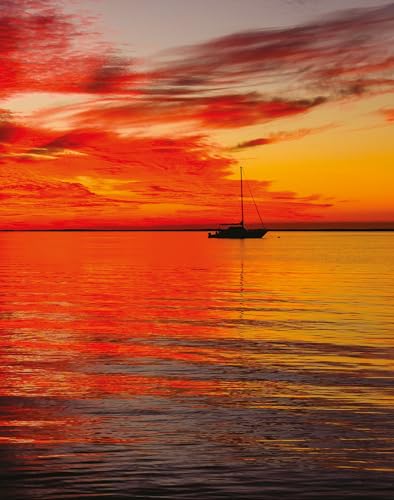 trunk FASHION 2 ALONE4