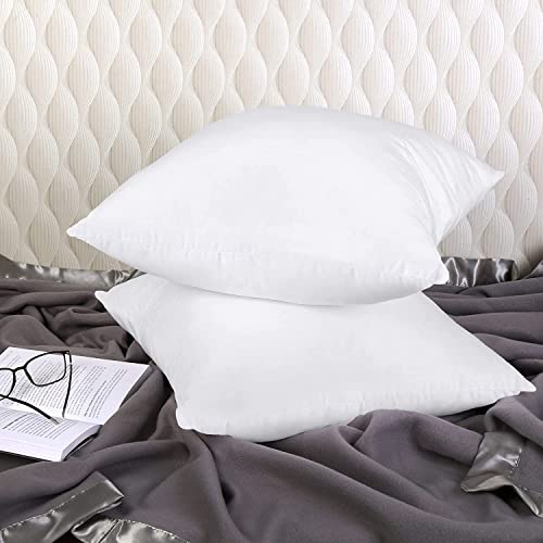 Utopia Bedding Throw Pillows Insert 2Pk 28X28 And 2Pk 20X20 Inches (White) #TOP6