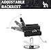 BETISEF Barber Salon Chair for Hair Stylist Styling with Hydraulic Pump, Removable Headrest, 360 Degrees Swivel Hair Chair Spa Beauty Equipment