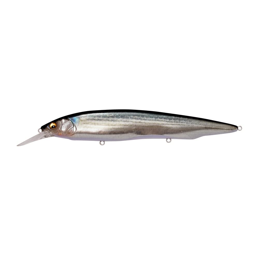 Amazon.com : Megabass Kanata+1 SW FA Mullet : Sports & Outdoors