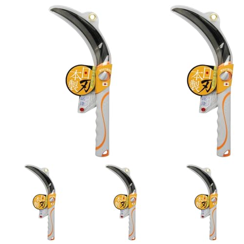 V(Takagi) e ֐n 730960 (× 5)