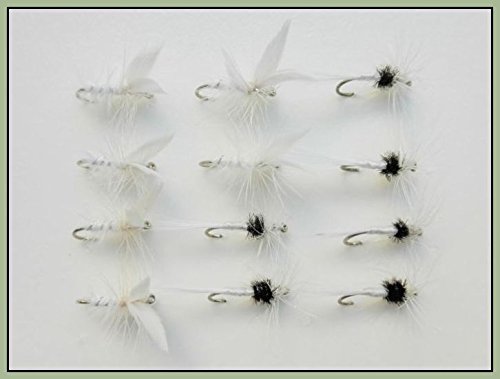 12 White Dry Trout Flies for fishing Moth/Caenis, Choice (16)