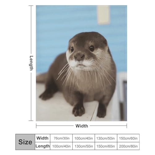 Couverture microfibre loutre extra large flanelle douce lit canapé - 3
