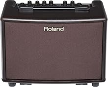 30 watts (15W+15W) of natural, stereo acoustic sound through twin speakers Runs on AC power or eight AA batteries (accepts rechargeable NiMH types) Dual-channel configuration: Guitar and Mic/Line channel Reverb, chorus, and ambience effects (Ambience...