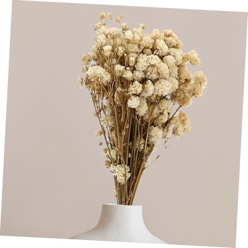 Set de 6 ramos de flores secas para decoración miniatura 4