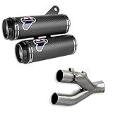 D146 / MR003CR / 96480311A termignoni auspuff racing kein kat carbon kompatibel mit ducati monster 1200 <2016 mototopgun d146 / mr003cr / 96480311a