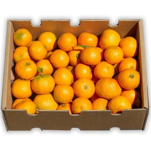 Caja de mandarinas de temporada | Comprar mandarinas frescas, dulces y jugosas, recién recolectadas y cultivadas de forma sostenible en Castellón (España) (4 Kg)