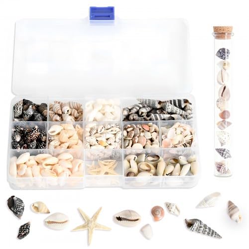 400 Pcs Small Sea Shells and Mini Starfish Mixed Natural Seashells, Mixed Sea Snails Conch Shells for Crafts, Beach Wedding Vase Fillers, DIY Jewelry Making Supplies, Vase Fillers with Storage Box