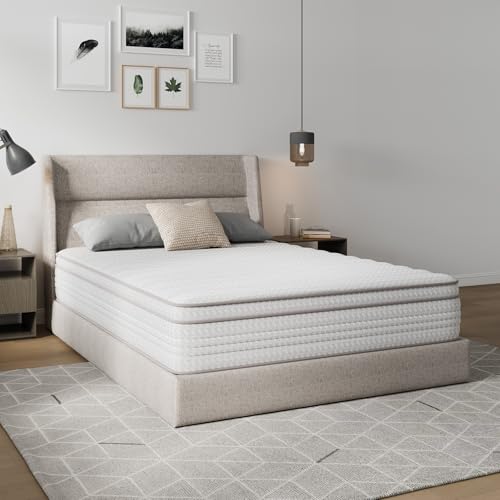 Novilla Queen Mattress, 12 Inch Queen Size Mattresses in a Box with Smarts™ Pocket Coil for Pressure Relief, Medium Plush Foam and Spring Hybrid Colchones with CertiPUR-US Certified