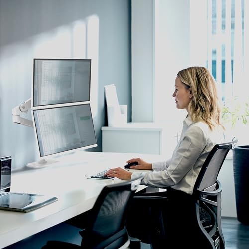 Bras de bureau pour 2 écrans jusqu'à 27 pouces Ergotron LX Pro - 4