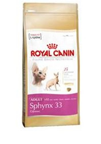 Royal CANIN gato Forro Sphynx 33 10 kg