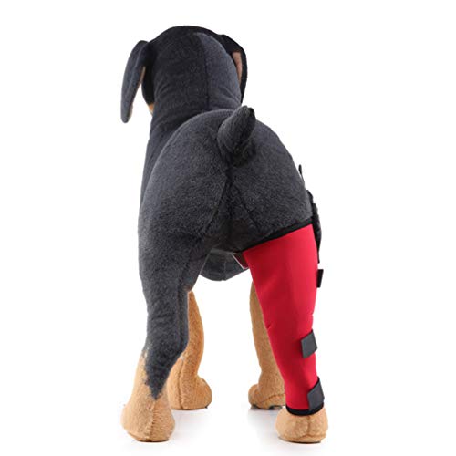 ZKOOO Hund Hinterbeine Kniebandage Handgelenk Sprunggelenk Wrap Schutz Gelenkbandage Stützbandage für Chirurgische Schützt Wunden und Arthritis Gelenkentzündung und Verstauchungen