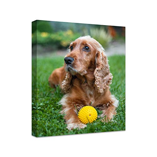 Personalized Photo to Canvas Print - Canvas Prints With Your