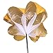 Fuhiueos Running Parachutes Speed Parachutes Resistance Parachutes Speed Training Parachutes Adjusted Strap Running Chutes