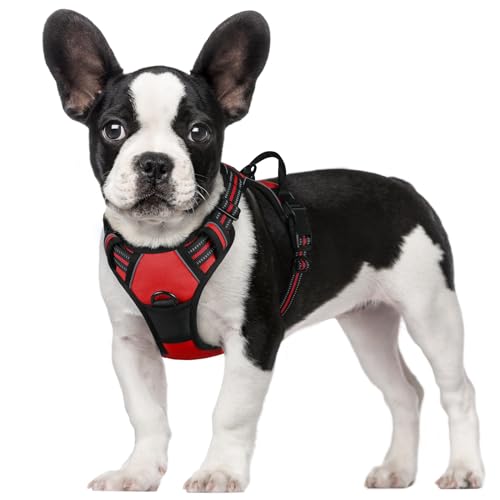 Rabbitgoo  n[lX ^ 5-15KG \tg 킢 p h~ SȂ TCY Ԕ Ȃ ʋC Pݖh~ U s⏕ V  ^  ^ ^ Č Hc ib