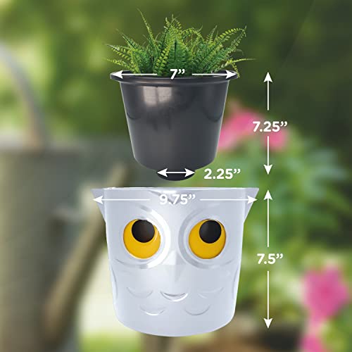 King's Gardening Clever Pot - Self Watering Pot for Indoor Outdoor Use, Animated Eye Water Level Indicator, UV Resistant Planter, Ideal for Flowers, African Violets, and More 8" (Snow Owl)