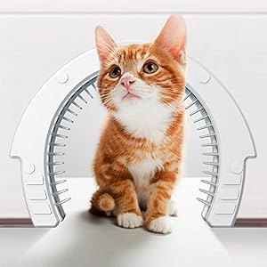 FICUSWIN Cat Door Interior Door Pet Door with Removable Cleaning Grooming Brush Large Pet Cat Pass for Adult Cats up to 35 LbsIndoor Pet Door for Wall Easy to Install Safe Material