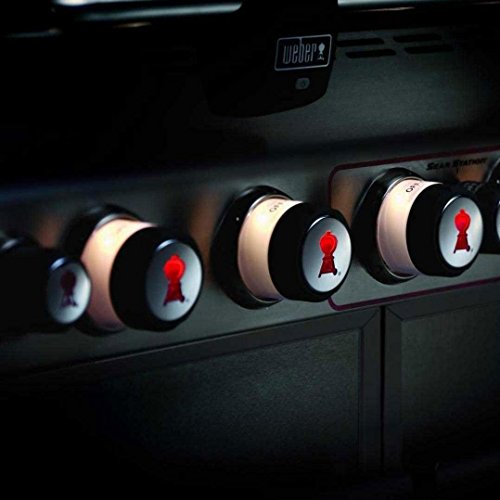 Weber Summit 7270001 S-470 Stainless-Steel 580-Square-Inch 48,800-BTU Natural-Gas Grill