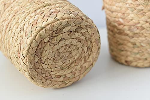 BSLVWG Seagrass Woven Storage Baskets Set of 2,Hand Woven Basket Indoor Outdoor Storage Flower Cover Containers for Modern Home Decor Storage,Hanging Baskets Organizer,Garden Plant Baskets (Brown)