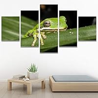 SIGNWIN 5 Panel Canvas Wall Art Amphibians Closeup Decorative Elements Frog Hallway Impressionism Multicolor for Home Decorations Ready to Hang - 60