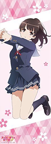 冴えない彼女の育てかた ポスター10枚セット 冴えない彼女の育てかた』告知ポスター 冴えカノ 加藤恵 深崎暮