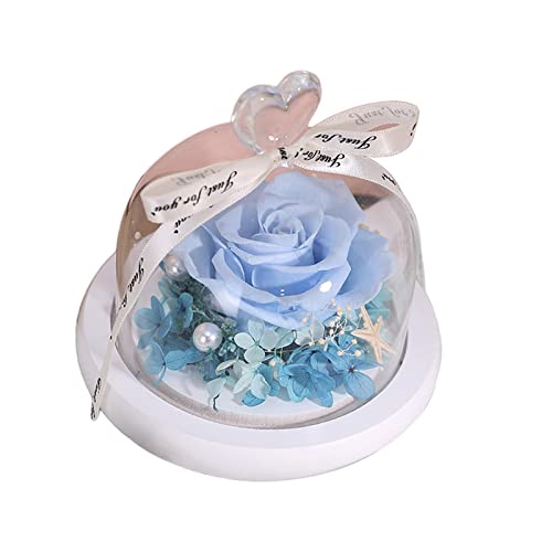 THE STYLE SUTRA® Handmade Romantic Preserved Rose Glass Dome Birthday Gift Present Home Decor Blue| Home & Garden | Home D?©cor | Floral D?©cor | | | Deal