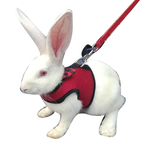 Hundezubehör, Brustgurt für Kaninchen, Hamster, Geschirr, Laufleine, Traktionsseil, Haustierzubehör, Kaninchen Sachen
