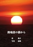 路地裏の猫から