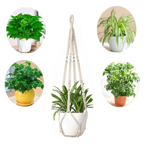 Plant Hanger Indoor Hanging Planter Basket for Indoor Outdoor Boh...