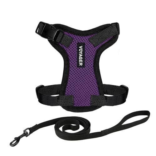 Image of Voyager Escape-Proof Step-in Lock Cat Harness & 5ft Neoprene-Handle Leash Set All-Weather Mesh with Reflective Stitching for Small to Large Cats by Best Pet Supplies, Purple /Black Trim, XXS