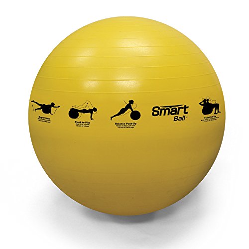 Prism Fitness Smart Stability Ball