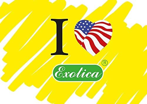 Exotica Car Air Freshener | Spill-Proof Can | Organic | for Home & Auto | Long Lasting Freshness | (Pack of 12) Fuzed Cherry-Bubble Gum
