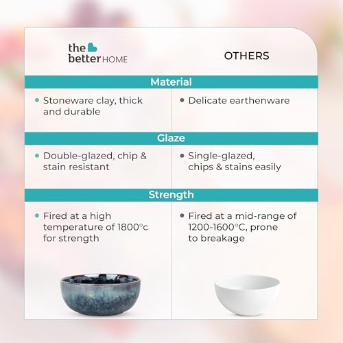 Image of The Better Home Terra Series Ceramic Bowl for Snack & Dinner(1Pcs) | Ramen Soup Bowl | Microwave Safe | Chip Resistant | Snack Serving Bowl | Dinning Bowl | Katoris for Dinner | Serving Bowl Set
