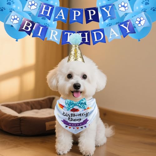 Set de Sombrero y Bandana para Cumpleaños de Perros miniatura 3